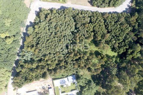 Helårsgrund i Arcozelo, Porto, Arcozelo - € 670.000 | Ref: ZMPT552112 - foto 2