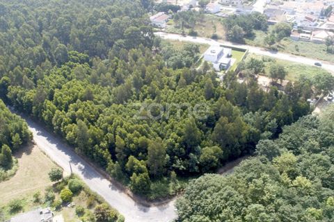 Helårsgrund i Arcozelo, Porto, Arcozelo - € 670.000 | Ref: ZMPT552112 - foto 4