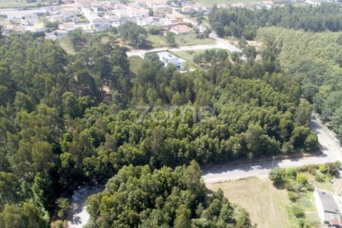 Helårsgrund i Arcozelo, Porto, Arcozelo - € 670.000 | Ref: ZMPT552112 - foto 6