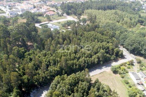 Helårsgrund i Arcozelo, Porto, Arcozelo - € 670.000 | Ref: ZMPT552112 - foto 7