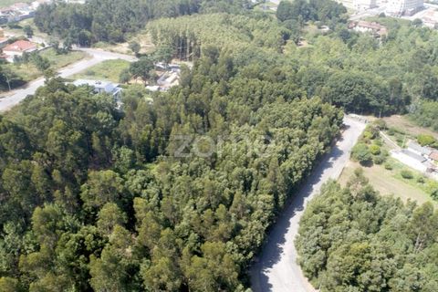 Helårsgrund i Arcozelo, Porto, Arcozelo - € 670.000 | Ref: ZMPT552112 - foto 8