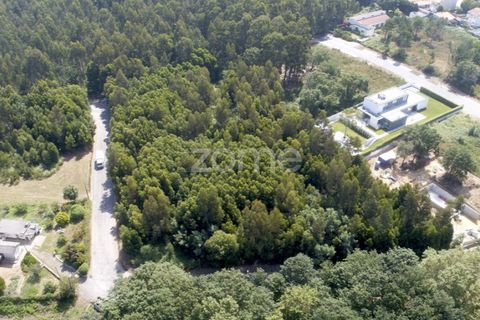 Helårsgrund i Arcozelo, Porto, Arcozelo - € 670.000 | Ref: ZMPT552112 - foto 11