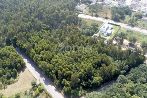 Helårsgrund i Arcozelo, Porto, Arcozelo - € 670.000 | Ref: ZMPT552112 - foto 14