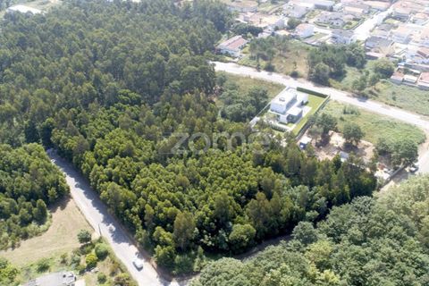 Helårsgrund i Arcozelo, Porto, Arcozelo - € 670.000 | Ref: ZMPT552112 - foto 15