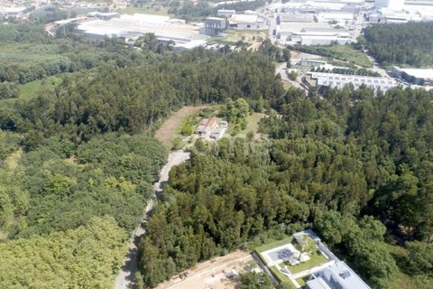 Helårsgrund i Arcozelo, Porto, Arcozelo - € 670.000 | Ref: ZMPT552112 - foto 17