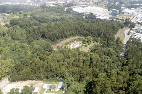 Helårsgrund i Arcozelo, Porto, Arcozelo - € 670.000 | Ref: ZMPT552112 - foto 18