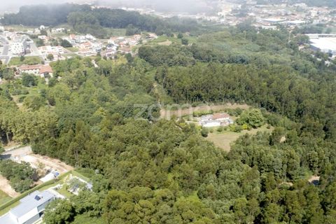 Helårsgrund i Arcozelo, Porto, Arcozelo - € 670.000 | Ref: ZMPT552112 - foto 19