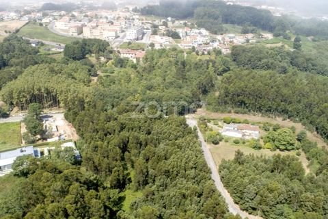 Helårsgrund i Arcozelo, Porto, Arcozelo - € 670.000 | Ref: ZMPT552112 - foto 20