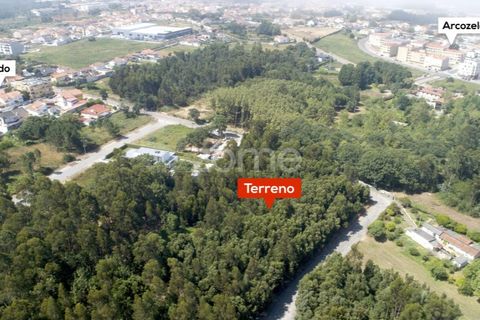 Helårsgrund i Arcozelo, Porto, Arcozelo - € 670.000 | Ref: ZMPT552112 - foto 21
