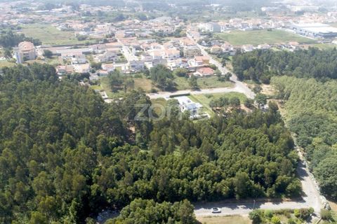 Helårsgrund i Arcozelo, Porto, Arcozelo - € 670.000 | Ref: ZMPT552112 - foto 22