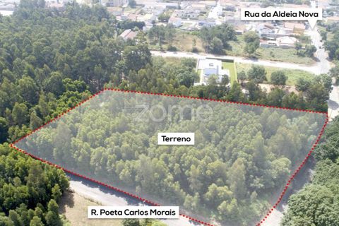Helårsgrund i Arcozelo, Porto, Arcozelo - € 670.000 | Ref: ZMPT552112 - foto 5