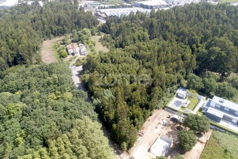 Helårsgrund i Arcozelo, Porto, Arcozelo - € 670.000 | Ref: ZMPT552112 - foto 12