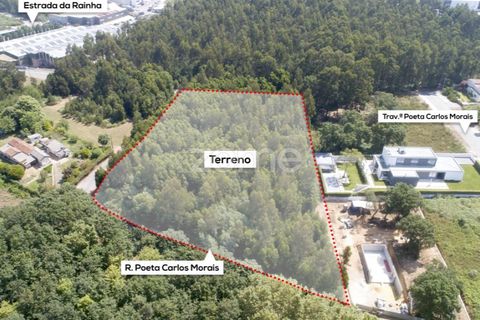 Helårsgrund i Arcozelo, Porto, Arcozelo - € 670.000 | Ref: ZMPT552112 - foto 13