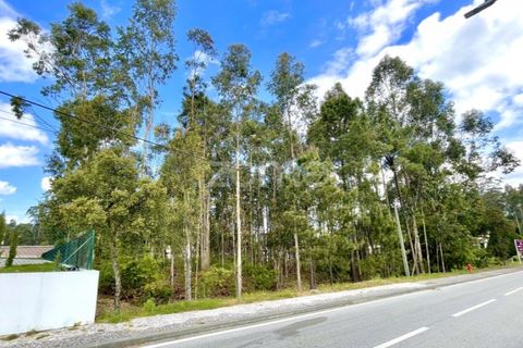 Helårsgrund i Cesar, Aveiro, Cesar - € 175.000 | Ref: ZMPT552054 - foto 4