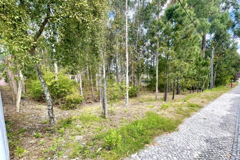 Helårsgrund i Cesar, Aveiro, Cesar - € 175.000 | Ref: ZMPT552054 - foto 5