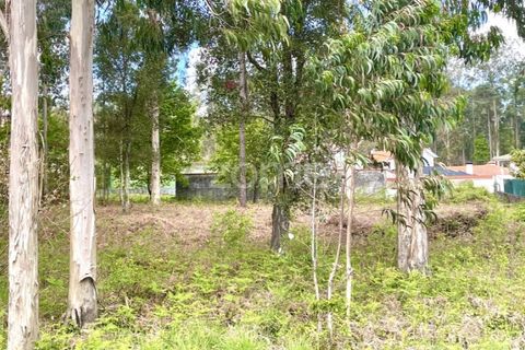 Helårsgrund i Cesar, Aveiro, Cesar - € 175.000 | Ref: ZMPT552054 - foto 6