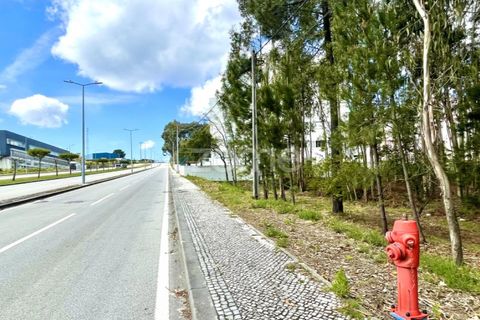 Helårsgrund i Cesar, Aveiro, Cesar - € 175.000 | Ref: ZMPT552054 - foto 7