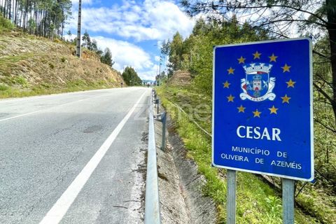 Helårsgrund i Cesar, Aveiro, Cesar - € 175.000 | Ref: ZMPT552054 - foto 14