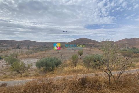 Helårsgrund i Arboleas, Almeria, Arboleas - € 500.000 | Ref: 2115 - foto 2
