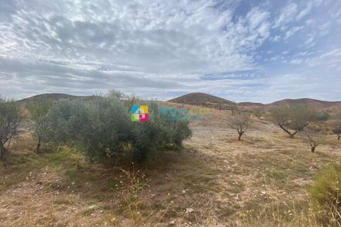 Helårsgrund i Arboleas, Almeria, Arboleas - € 500.000 | Ref: 2115 - foto 3