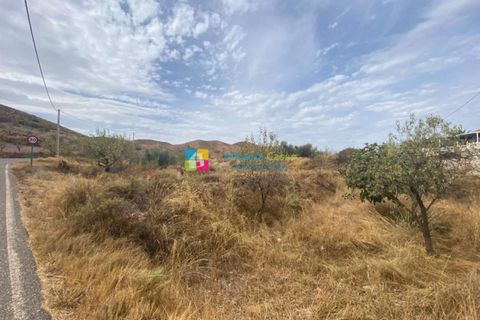 Helårsgrund i Arboleas, Almeria, Arboleas - € 500.000 | Ref: 2115 - foto 4