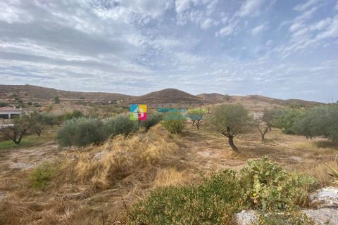 Helårsgrund i Arboleas, Almeria, Arboleas - € 500.000 | Ref: 2115 - foto 5