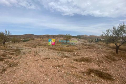 Helårsgrund i Arboleas, Almeria, Arboleas - € 500.000 | Ref: 2115 - foto 7