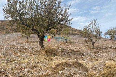 Helårsgrund i Arboleas, Almeria, Arboleas - € 500.000 | Ref: 2115 - foto 8