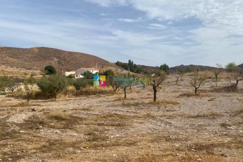 Helårsgrund i Arboleas, Almeria, Arboleas - € 500.000 | Ref: 2115 - foto 9