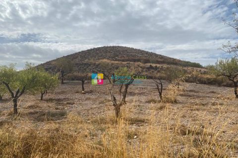 Helårsgrund i Arboleas, Almeria, Arboleas - € 500.000 | Ref: 2115 - foto 10