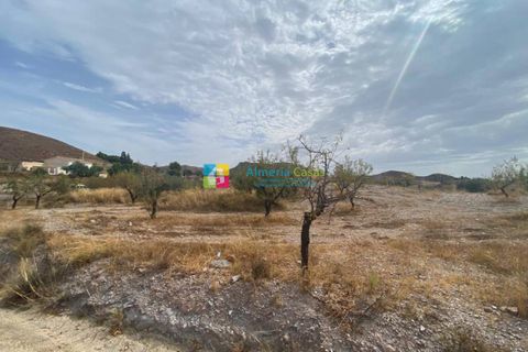 Helårsgrund i Arboleas, Almeria, Arboleas - € 500.000 | Ref: 2115 - foto 11