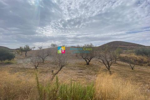 Helårsgrund i Arboleas, Almeria, Arboleas - € 500.000 | Ref: 2115 - foto 12
