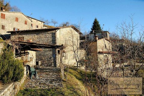 Villa a Molazzana, Lucca, Molazzana - € 800.000 | Ref: v3270mf-x - foto 17