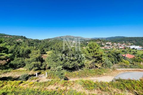 Helårsgrund i Ponte de Lima, Viana do Castelo, Ponte de Lima - € 150.000 | Ref: M059 - foto 1