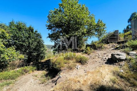 Helårsgrund i Ponte de Lima, Viana do Castelo, Ponte de Lima - € 150.000 | Ref: M059 - foto 2