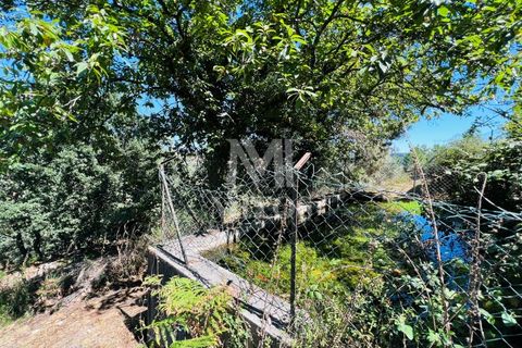 Helårsgrund i Ponte de Lima, Viana do Castelo, Ponte de Lima - € 150.000 | Ref: M059 - foto 3