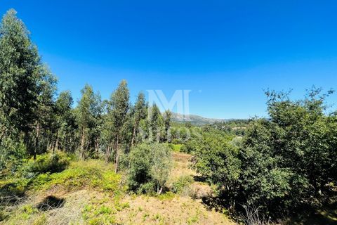 Helårsgrund i Ponte de Lima, Viana do Castelo, Ponte de Lima - € 150.000 | Ref: M059 - foto 5