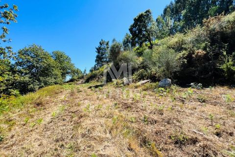 Helårsgrund i Ponte de Lima, Viana do Castelo, Ponte de Lima - € 150.000 | Ref: M059 - foto 6