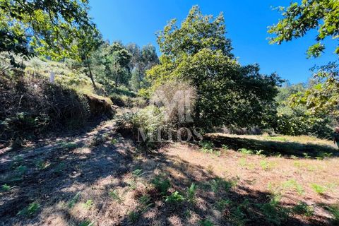 Helårsgrund i Ponte de Lima, Viana do Castelo, Ponte de Lima - € 150.000 | Ref: M059 - foto 7