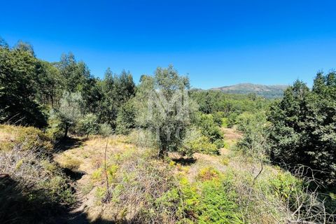 Helårsgrund i Ponte de Lima, Viana do Castelo, Ponte de Lima - € 150.000 | Ref: M059 - foto 9