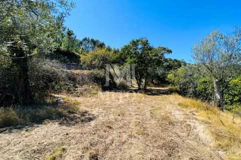 Helårsgrund i Ponte de Lima, Viana do Castelo, Ponte de Lima - € 150.000 | Ref: M059 - foto 10
