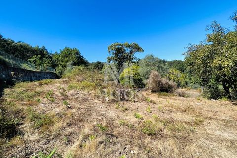 Helårsgrund i Ponte de Lima, Viana do Castelo, Ponte de Lima - € 150.000 | Ref: M059 - foto 11