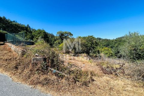 Helårsgrund i Ponte de Lima, Viana do Castelo, Ponte de Lima - € 150.000 | Ref: M059 - foto 13