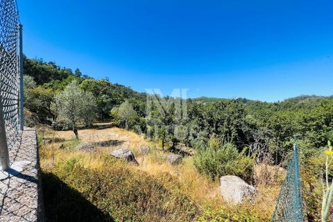 Helårsgrund i Ponte de Lima, Viana do Castelo, Ponte de Lima - € 150.000 | Ref: M059 - foto 14