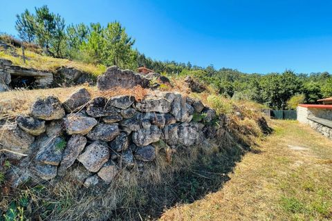 Helårsgrund i Ponte de Lima, Viana do Castelo, Ponte de Lima - € 150.000 | Ref: M059 - foto 15