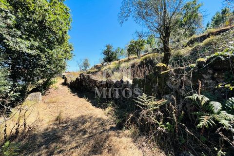 Helårsgrund i Ponte de Lima, Viana do Castelo, Ponte de Lima - € 150.000 | Ref: M059 - foto 16