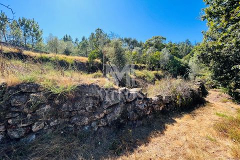 Helårsgrund i Ponte de Lima, Viana do Castelo, Ponte de Lima - € 150.000 | Ref: M059 - foto 17