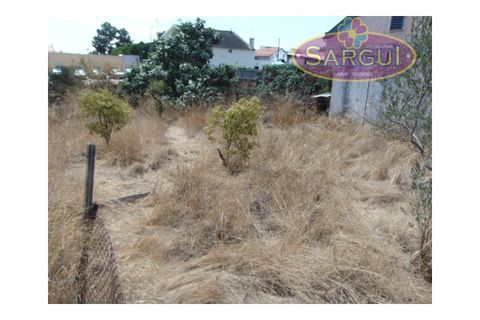 Helårsgrund i Quinta do Conde, Setubal, Quinta do Conde - € 105.000 | Ref: SÒL_290 - foto 2