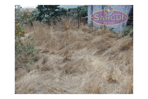 Helårsgrund i Quinta do Conde, Setubal, Quinta do Conde - € 105.000 | Ref: SÒL_290 - foto 5