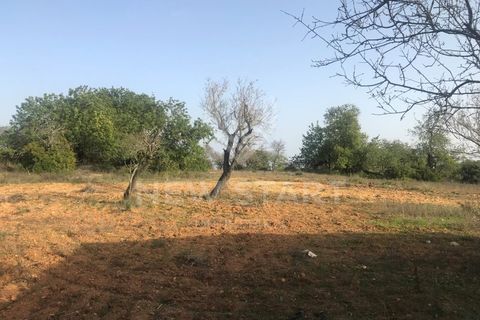 Helårsgrund i Quelfes, Faro, Quelfes - € 515.000 | Ref: 2200110 - foto 6